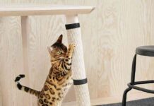 ikea lurvig mascotas 4