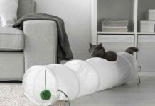 ikea lurvig mascotas 8