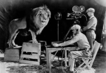 animales de cine 2