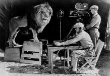 animales de cine 2a