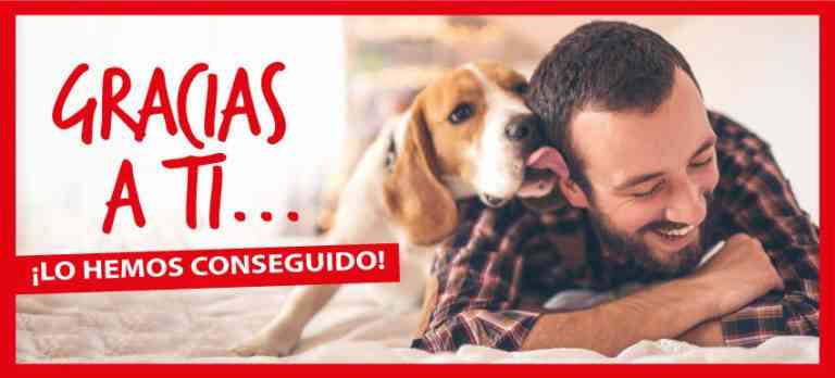 Más de 10.000 animales desparasitados con la última campaña solidaria de Kiwoko