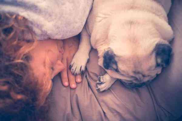 ¿Sabes por qué tu perro duerme contigo? Beneficios y curiosidades
