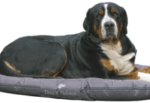 colchoneta para perros