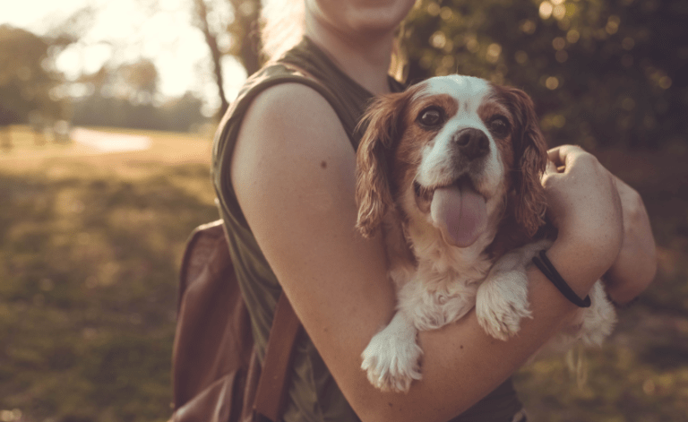 5 maneras de demostrar a tu perro que es uno más de la familia