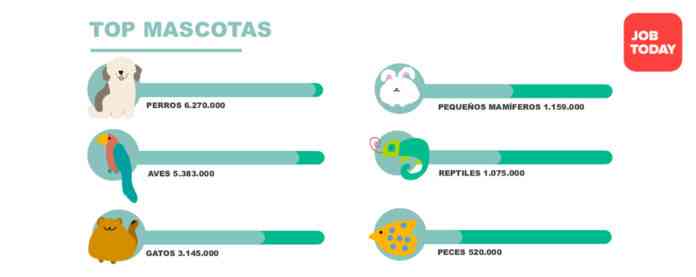 Guia Pet Friendly - Top mascotas