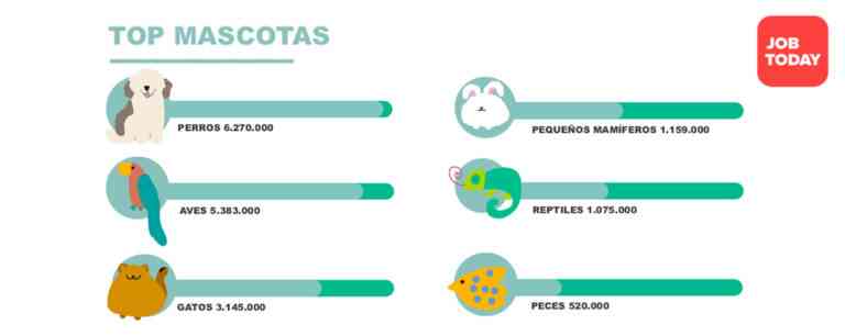 Guía de conciliación animal con consejos para convertir las oficinas en pet friendly