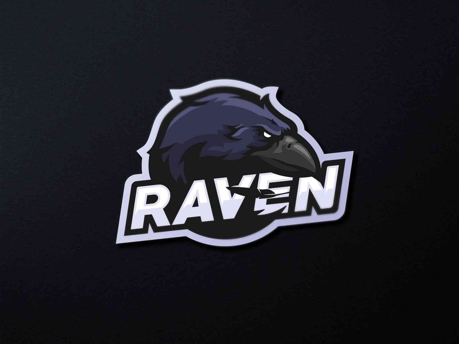 ¿Cómo hacer un buen mascot logo?