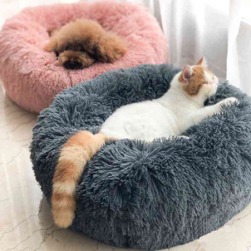 The fur of the cats
