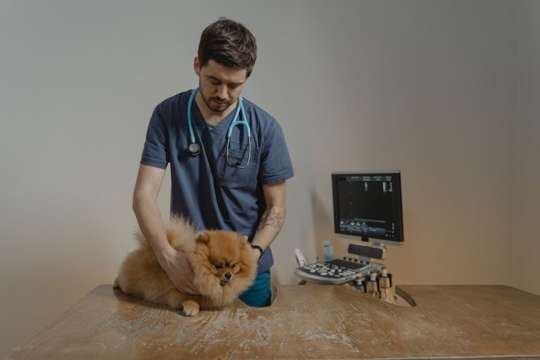 ¿Te gustaría tener una farmacia veterinaria?