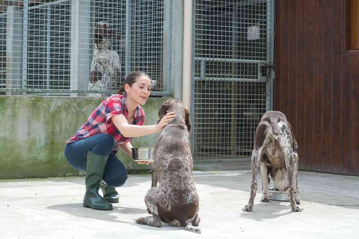 Cuidar de un perro o gato ayuda mejorar el bienestar emocional