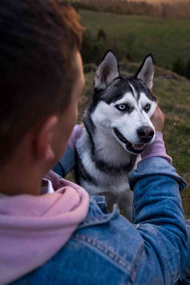 El 81% de dueños cree que sus mascotas se parecen mucho o bastante a ellos