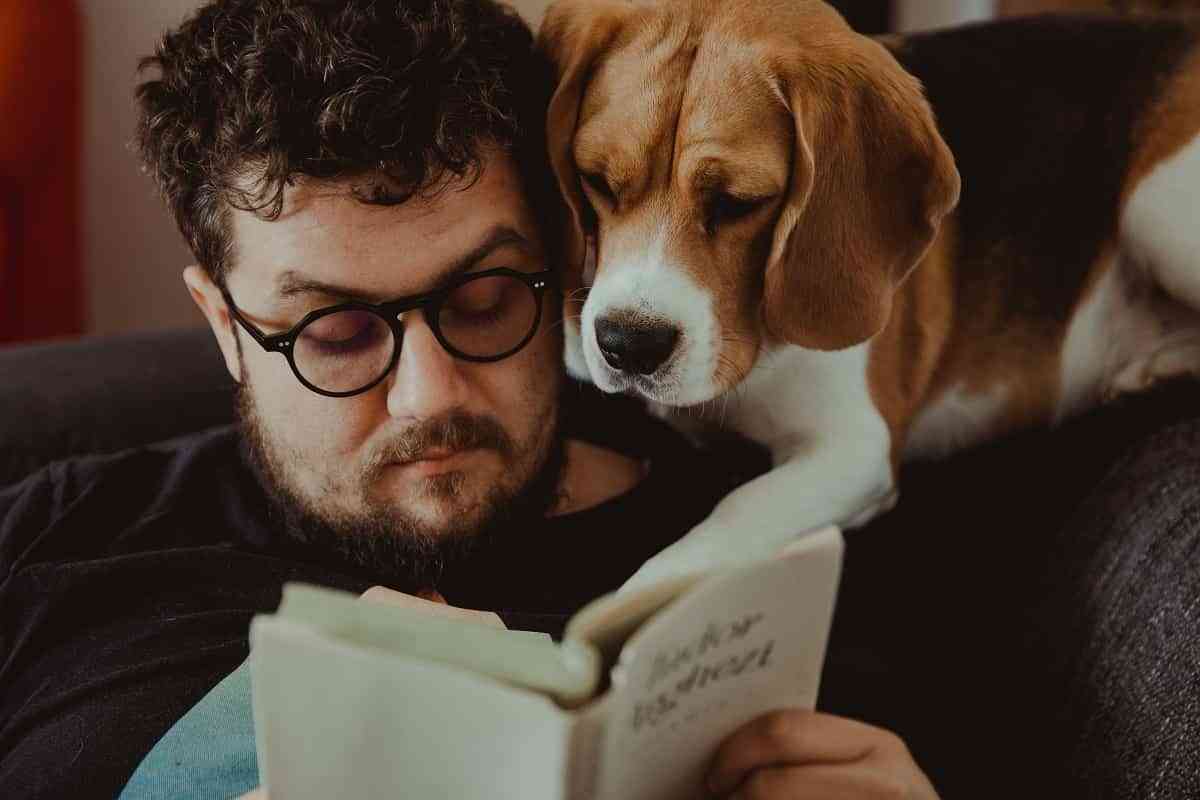 libros sobre perros 