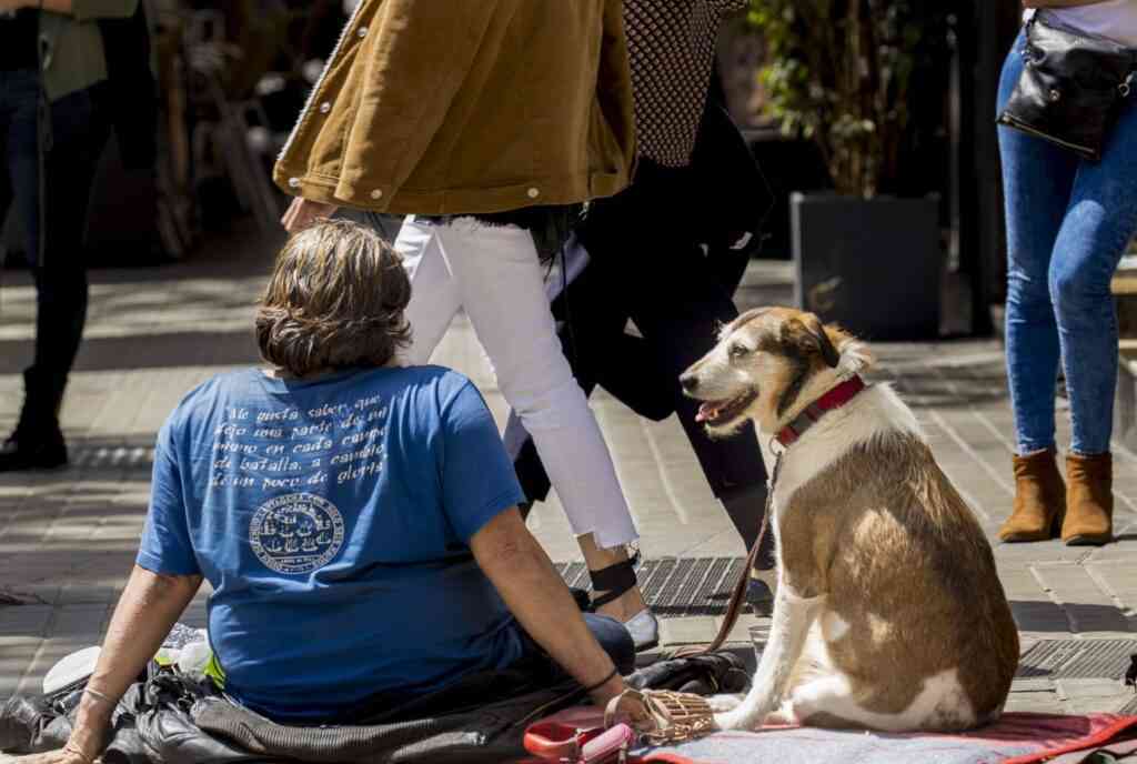 perro amigo personas sin hogar