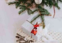 Mantener felices a los perros