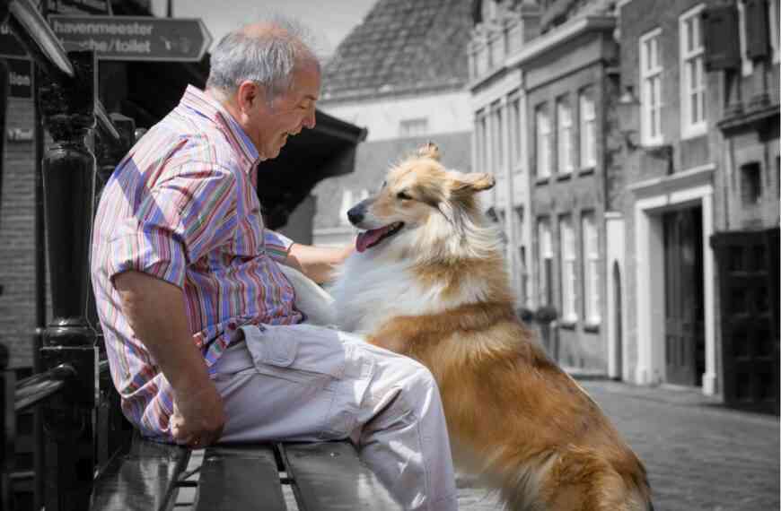 El vínculo humano-animal, beneficioso para los pacientes con Alzheimer y demencia