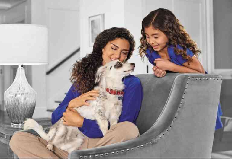 Qué hacer frente a la posibilidad de regalar mascotas en Navidad