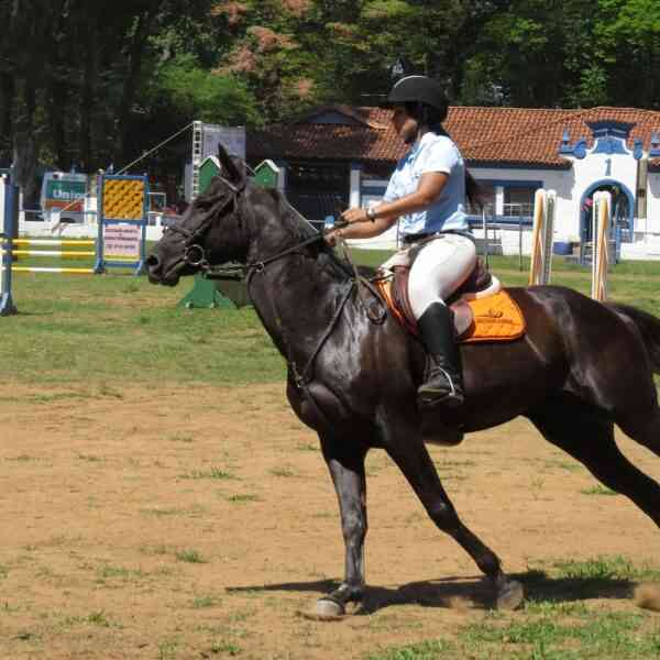 La importancia de la ropa de equitación para amazonas