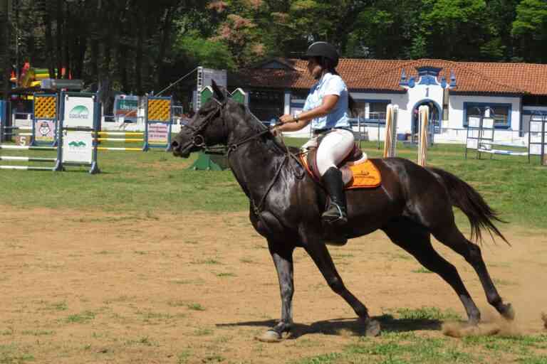 La importancia de la ropa de equitación para amazonas La importancia de la ropa de equitación para amazonas