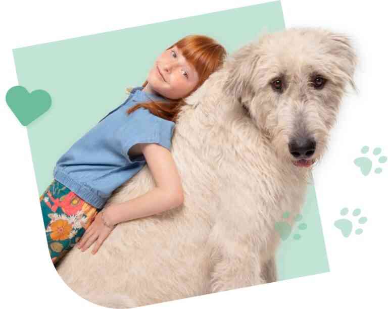 Nueva Ley de Bienestar animal: por qué contratar un seguro de salud para mascotas Nueva Ley de Bienestar animal: por qué contratar un seguro de salud para mascotas