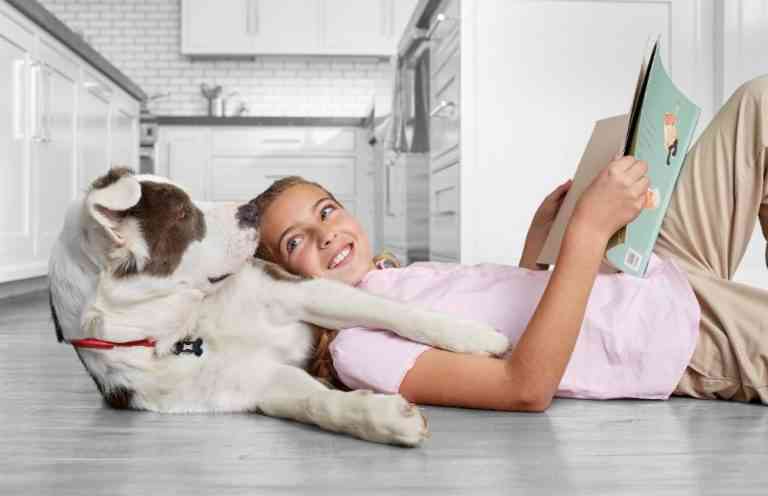 5 beneficios que aportan los perros a niños autistas 5 beneficios que aportan los perros a niños autistas