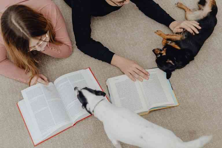 Los perros y gatos pueden ayudar a los estudiantes a rendir mejor en época de exámenes Los perros y gatos pueden ayudar a los estudiantes a rendir mejor en época de exámenes