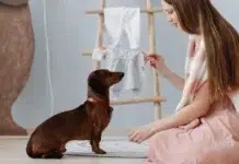 Consejos para entrenar