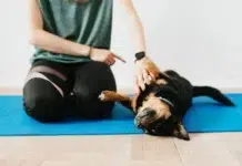 Consejos para entrenar