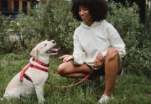 Consejos para entrenar