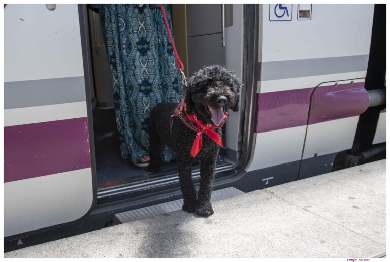 Purina y RENFE amplían el alcance del Proyecto Mascotas