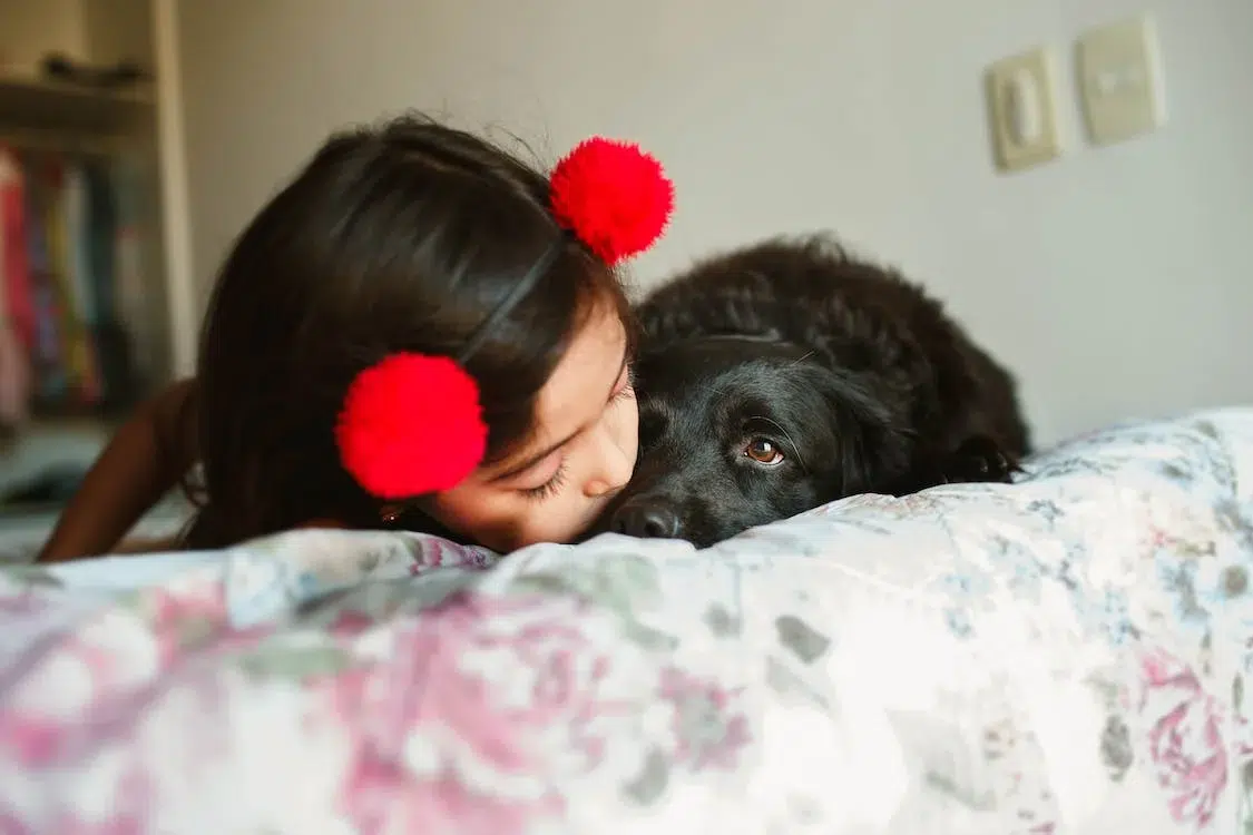 Mascotas felices