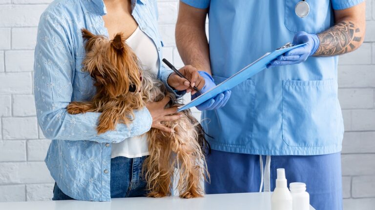 La importancia de contar con un buen seguro para perros