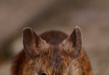 alimentación saludable