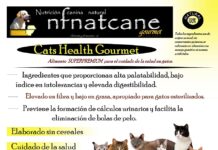 cats-health-gourmet