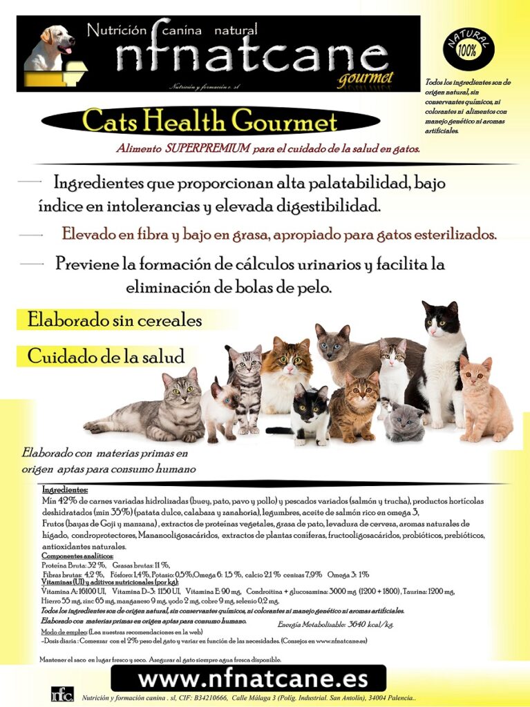 cats health gourmet