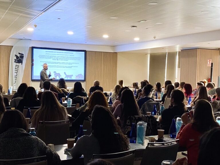 La osteoartrosis y el cáncer, entre las patologías más frecuentes en mascotas geriátricas