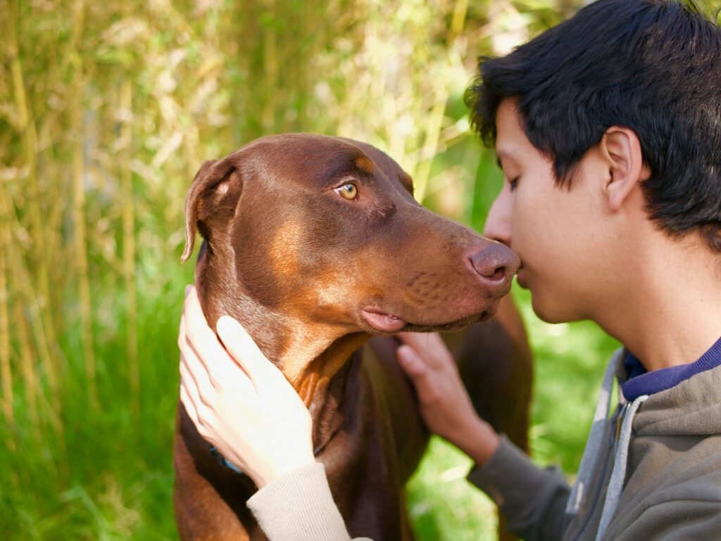 beneficios crecer con una mascota