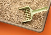 arenas de gatos aglutinantes 1