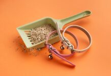 arenas de gatos aglutinantes 2