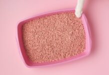 arenas de gatos aglutinantes 3