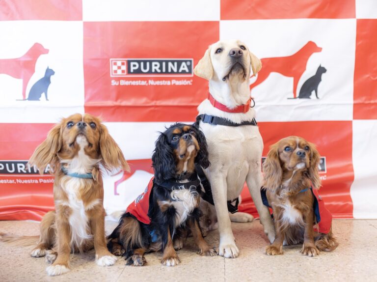 Purina celebra el éxito de la V Edición del Proyecto Guau