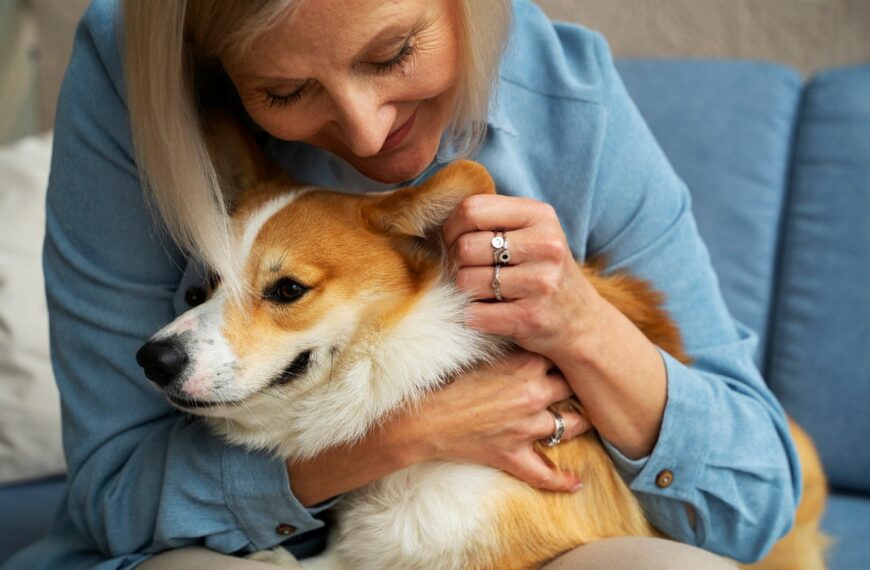 La medicina preventiva, el gran desafío en el cuidado de las mascotas sénior