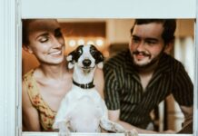 perro-feliz-educado-familia