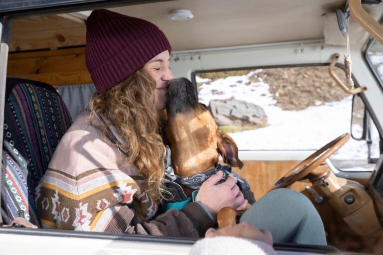 Autocaravana, la opción preferida por las familias con mascota como alojamiento alternativo en vacaciones