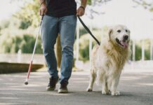 Negar a un perro de asistencia el acceso a un local puede ser sancionado con hasta 10.000 euros