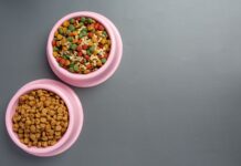 El mercado Pet Tech, un ecosistemaen auge en Europa