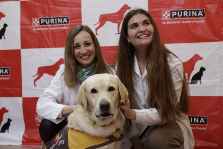 Primer aniversario de la Alianza Purina Terapia Animal