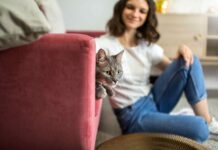 ¿Alérgico a los gatos? 5 datos que quizás no conocías y cómo prevenirlo