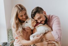 Las mascotas, un miembro más de la familia: el nuevo vínculo entre los españoles y sus animales de compañía