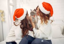 Una Navidad más consciente a la hora de regalar mascotas