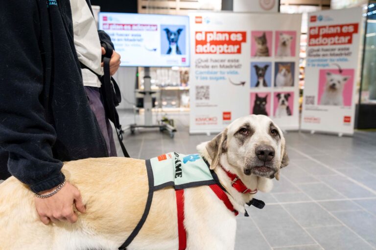 La Comunidad de Madrid impulsa la campaña El Plan es Adoptar para promover la adopción responsable de animales